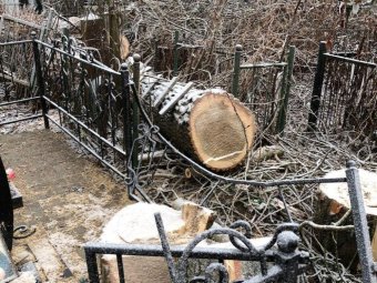 Фото: «Новое Поморье».