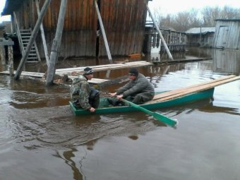 Дябрино. 2016 год. 