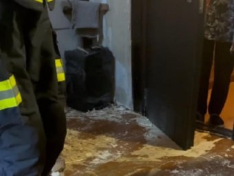 Фото: стоп-кадр из видео «Жесть Архангельской области».