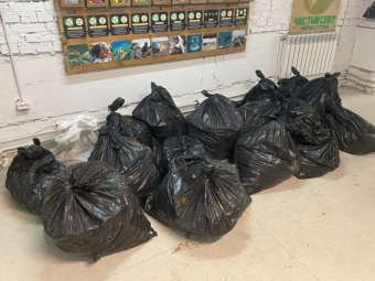 Фото пресс-службы областного правительства.