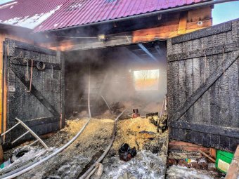 Фото: Агентство ГПС и ГЗ Архангельской области.