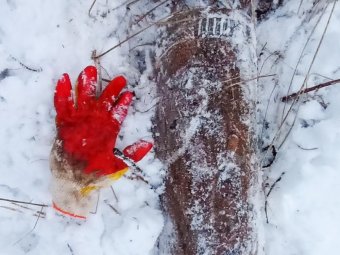 Фото: ГКУ АО «Центр гражданской защиты».
