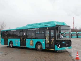 Фото пресс-службы администрации Архангельска.