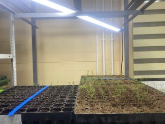 Фото Группы компаний УЛК.