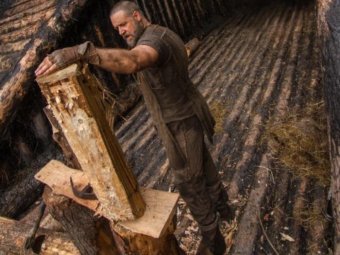 На фото: кадр из к/ф «Ной». 