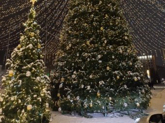 Фото со страницы Дмитрия Морева «ВК».