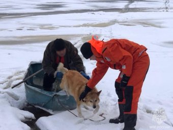 Все фото: МЧС.