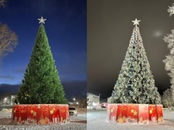 Фото: администрация Плесецкого округа. 