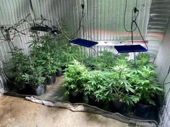 Фото пресс-службы УМВД.