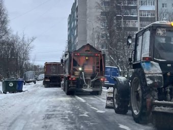 Фото пресс-службы администрации Архангельска.