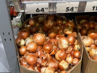 Фото АРО ЛДПР