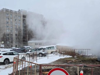 Фото: пресс-служба архгорадмина. 