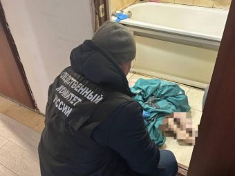 Фото: СУ СК по Архангельской области и НАО. 