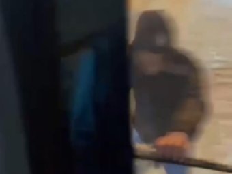 Стоп-кадр из видео ТК «Рико».