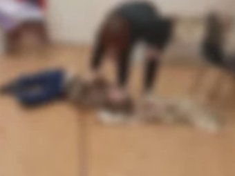 Стоп-кадр из видео. 