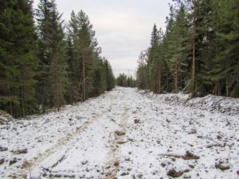 Фото: ГК УЛК.