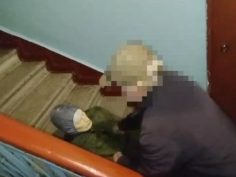 Стоп-кадр из видео пресс-службы СУ СК по Архангельской области и НАО. 