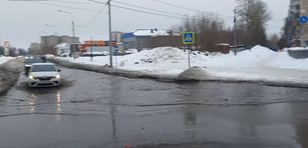 Стоп-кадр из видео МШ.