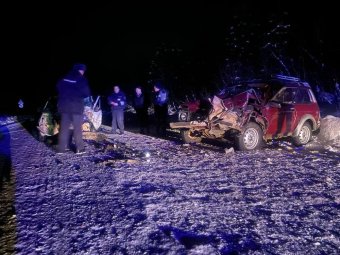 Все фото: Госавтоинспекция Архангельской области. 
