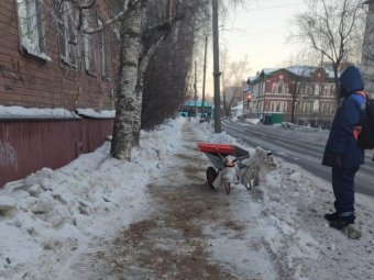 Фото архгорадмина