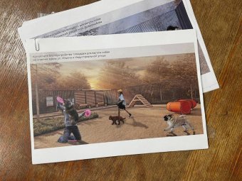 Фото: пресс-служба Архангельской городской Думы. 