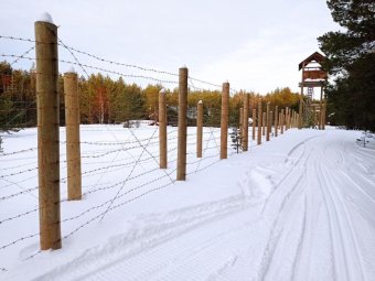 Фото Алексея Сухановского.