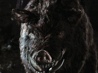 Стоп-кадр из фильма «Кабан».