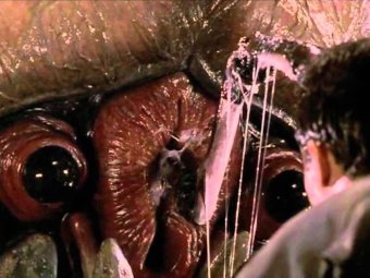 Стоп-кадр из фильма «Звездный десант».