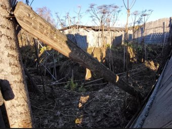 Скотомогильник в Архангельской области. Фото Россельхознадзора.
