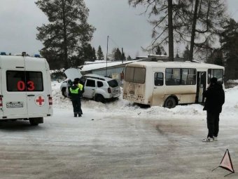 Фото: «Жесть Поморья».