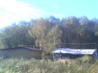 Фото Россельхознадзора