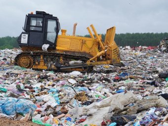 Фото: Министерство природных ресурсов и ЛПК Архангельской области.