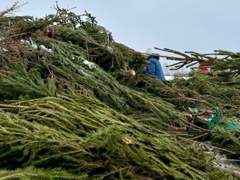 Фото «ЭкоИнтегратора».