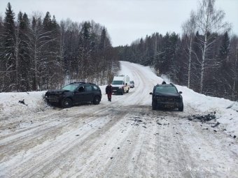 Фото: ГАИ Архангельской области. 