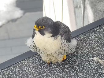 Фото банка «Уралсиб».