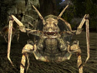 Стоп-кадр из игры «Готика 2».