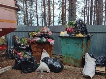 Фото «ЭкоИнтегратора». 