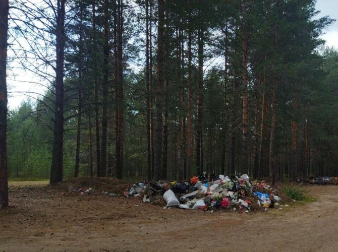 Фото «ЭкоИнтегратора». 