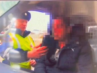 Фото: стоп-кадр из видео ГАИ Архангельской области. 