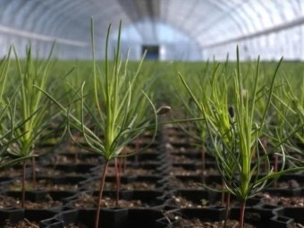 Фото: ГК УЛК.