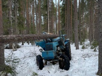 Фото пресс-службы СУ СК РФ по Архангельской области и НАО.