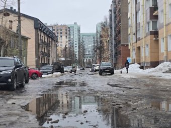 Фото: пресс-служба архгорадмина. 