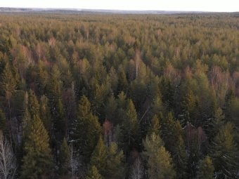 Фото: ГК УЛК.