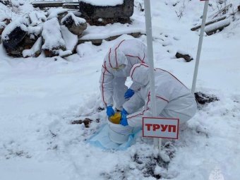 Фото: МЧС по Архангельской области. 