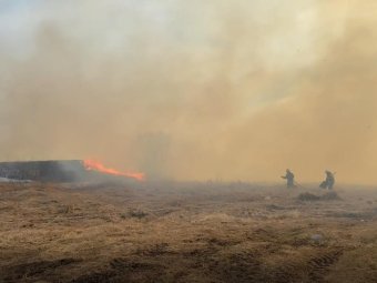 Стоп-кадр из видео МЧС по Архангельской области. 