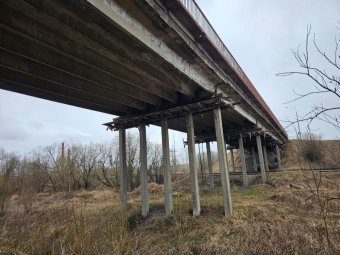 Фото пресс-службы администрации Архангельска.