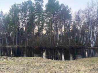 Фото: СУ СК по Архангельской области и НАО. 