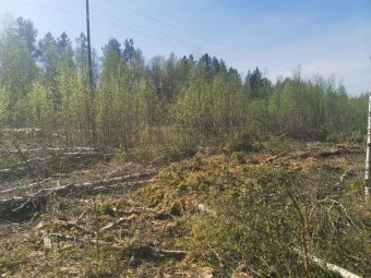 Фото пресс-службы областной прокуратуры. 