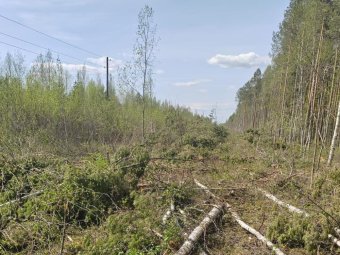 Фото пресс-службы областной прокуратуры. 