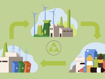 Все фото: Архангельский экологический оператор. 